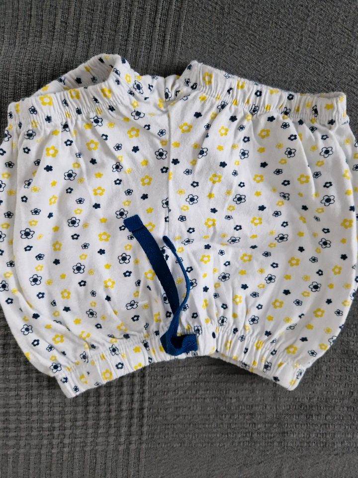 Baby-Kleidungsset Hosen Mädchen Größe 80 in Münchweiler an der Rodalb