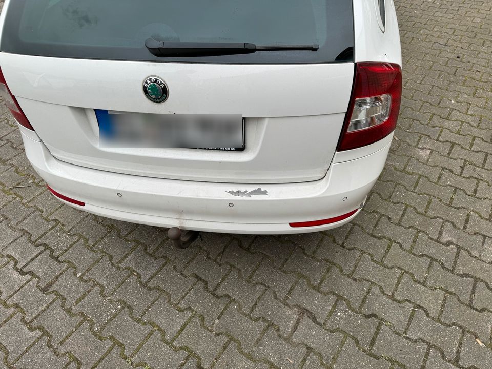 Skoda Oktavia 2,0 TDI Automatik in Esterwegen