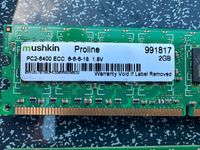 991817 MUSHKIN 2GB PC2-6400 DDR2 800MHZ Ram Speicher Brandenburg - Petershagen Vorschau