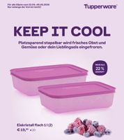 Eiskristall 1l flach Tupper Tupperware Sachsen - Frohburg Vorschau