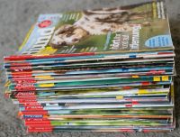 35 Partner Hund Zeitschriften Nordrhein-Westfalen - Korschenbroich Vorschau