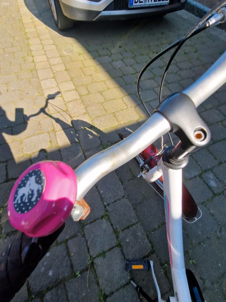 Mädchen Fahrrad 20 Zoll in Ennigerloh