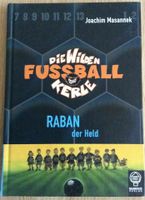 DIE WILDEN KERLE - RABAN der Held - Kinderbuch ab 8 Jahren Bielefeld - Bielefeld (Innenstadt) Vorschau