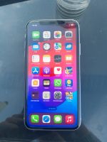 iPhone 11/ 64gb Violett Rheinland-Pfalz - Bad Bergzabern Vorschau