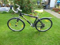 Bulls X 9005 Mountainbike Nordrhein-Westfalen - Wesel Vorschau