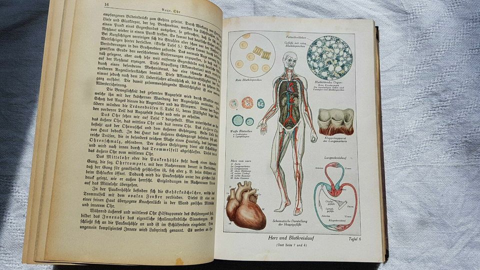 2 Medizin Antik Buch Hebamme Heilpraktiker Arzt Ratgeber Lehrbuch in Nürnberg (Mittelfr)