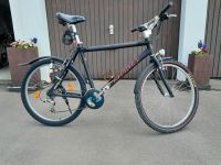 Fahrrad MTB Nishiki Kodiak 26" Baden-Württemberg - Ingoldingen Vorschau