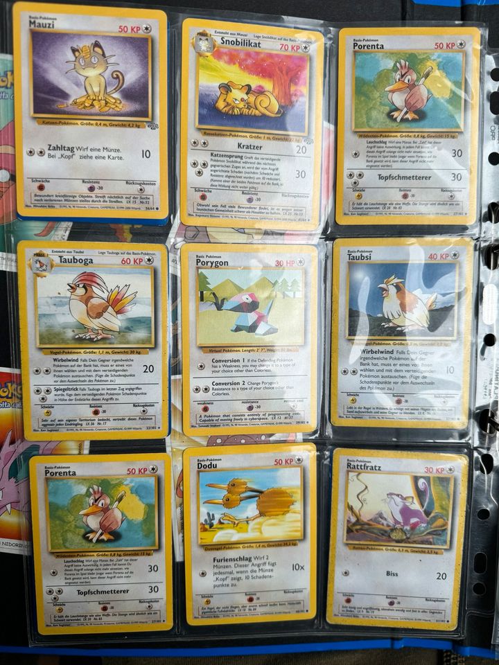 Pokémon Karten, Konvolut, Sammelkarten in Zeitlarn