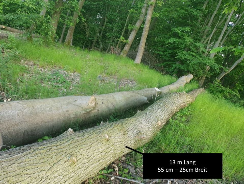 Eiche Baumstämme Holz Brennholz ca. 8 fm = 11,20 Raummeter in Edertal