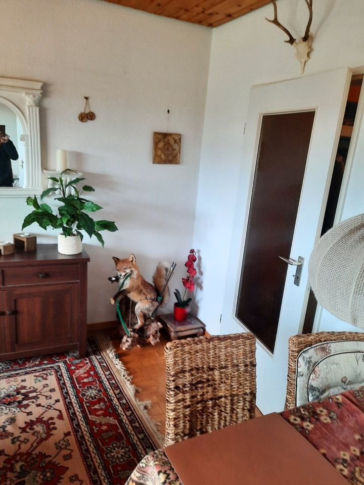 Gepflegte 2-Zimmer-Wohnung zum Kauf in St. Andreasberg