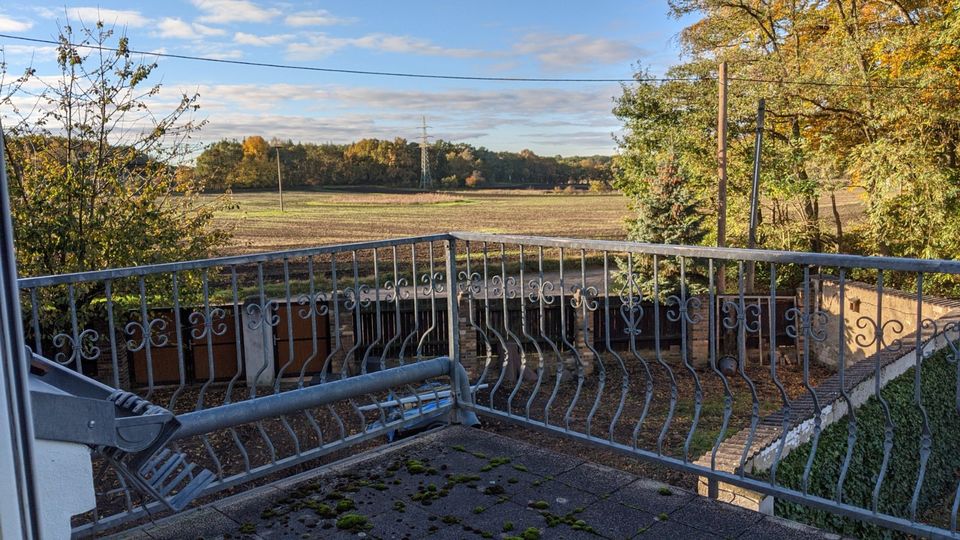 Ein-/Zweifamilienhaus, großer Garten, Platz für Kleingewerbe in Jeßnitz