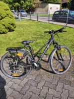 Bulls Fahrrad 26 Zoll Trekking Cross Nordrhein-Westfalen - Bergneustadt Vorschau