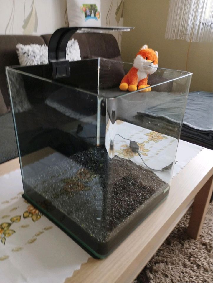 Aquarium Nano Cube Dennerle 30 l in Beuna