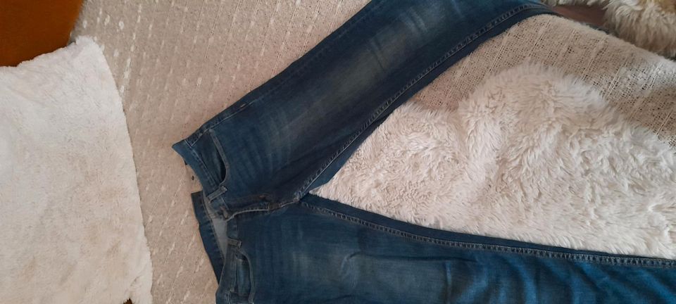 Zara Jeans Herren Gr.38 dunkelblau ,gerade geschnitten, straight in Neustadt (Dosse)