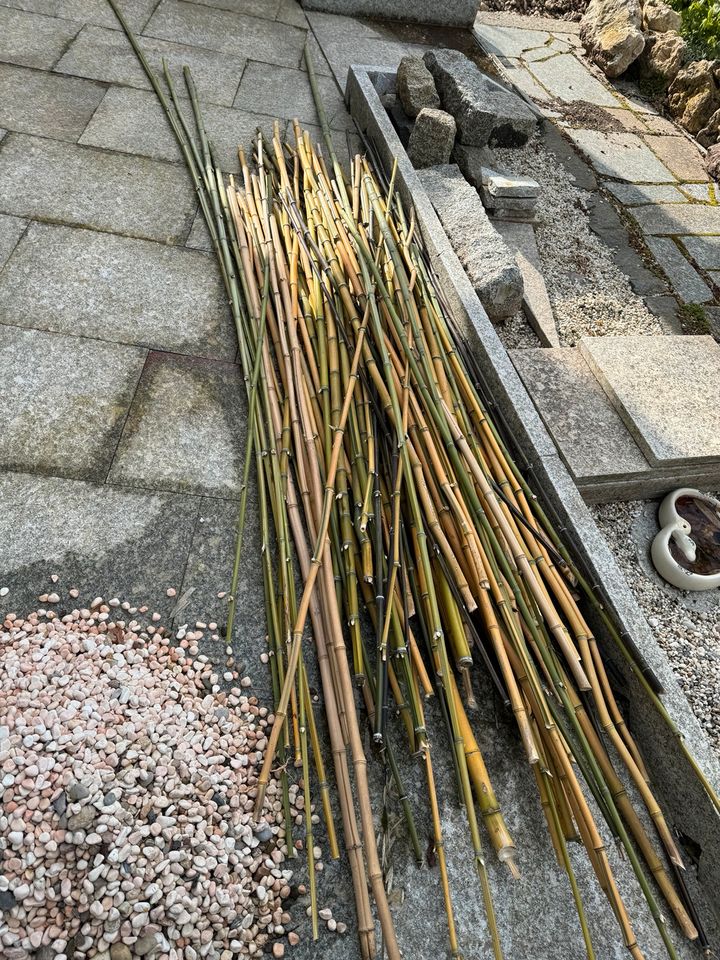 Bambustangen zu verschenken in Rüsselsheim