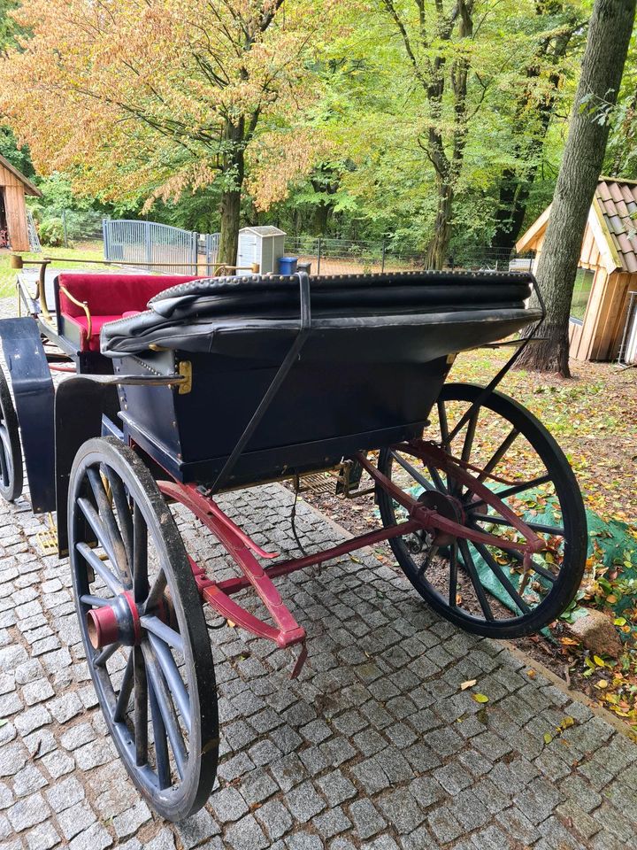 Kutsche Vis a Vis, Ein- und Zweispänner in Egestorf