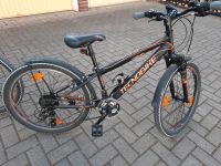 2 Stück Techno Bikes Portofino 24 Zoll NP 349,- Euro Niedersachsen - Ronnenberg Vorschau