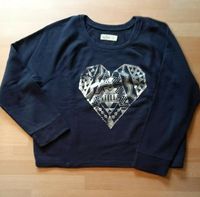 Hollister Sweatshirt Größe L Nordrhein-Westfalen - Detmold Vorschau