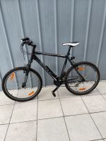 Fahrrad 26 Zoll Nordrhein-Westfalen - Warstein Vorschau