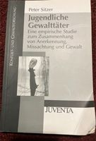 Jugendliche Gewalttäter Peter Sitzer empirische Studie Bayern - Marktheidenfeld Vorschau