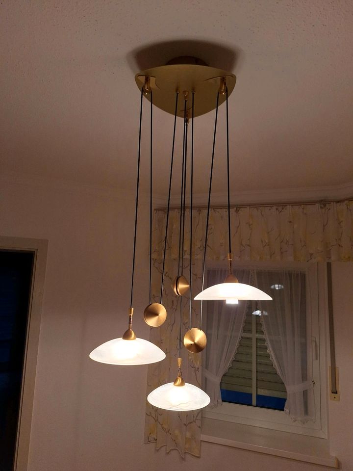 Lampe Hängelampe Wohnzimmerlampe Esszimmerlampe in Balve