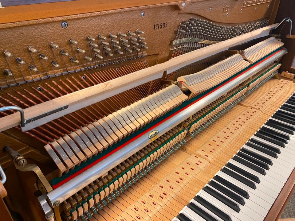 GROTRIAN STEINWEG 120 in Bispingen