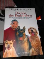 Cesar Millan Du bist der Rudelführer,  Buch Brandenburg - Falkensee Vorschau