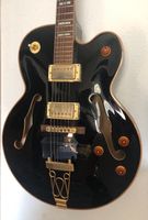 Baton Rouge Fat Mat Black JazzGitarre Hollowbody E-Gitarre Rostock - Kröpeliner-Tor-Vorstadt Vorschau