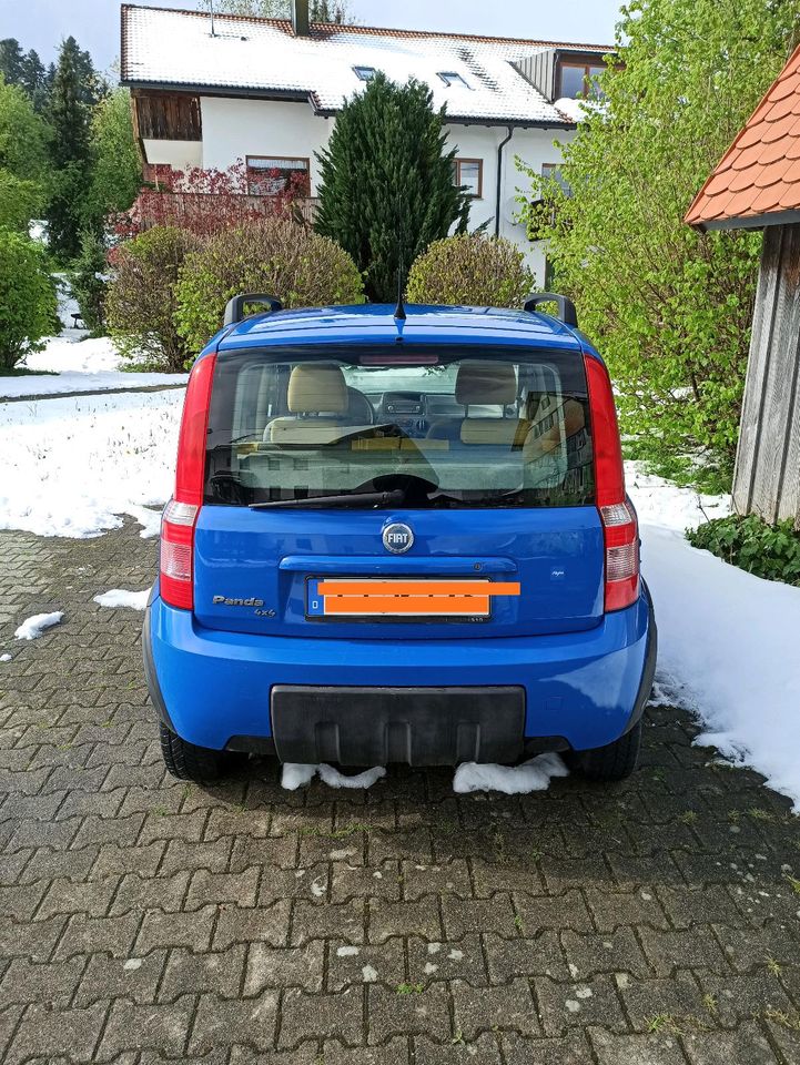 Fiat Panda 169 1.2 4x4 in Scheidegg