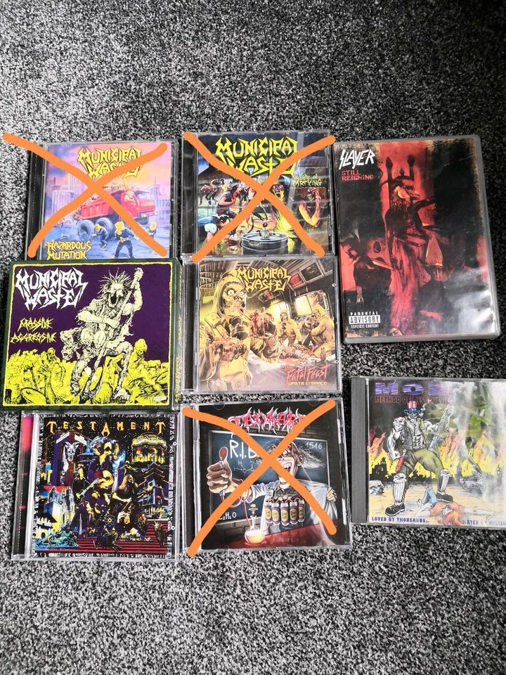 Thrash Metal CD's DVD Slayer Municipal Waste Testament Tankard in Marienberg