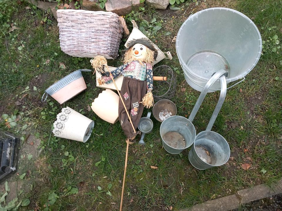 Pflanztöpfchen für Garten, Terrasse oder Balkon in Röhrsdorf