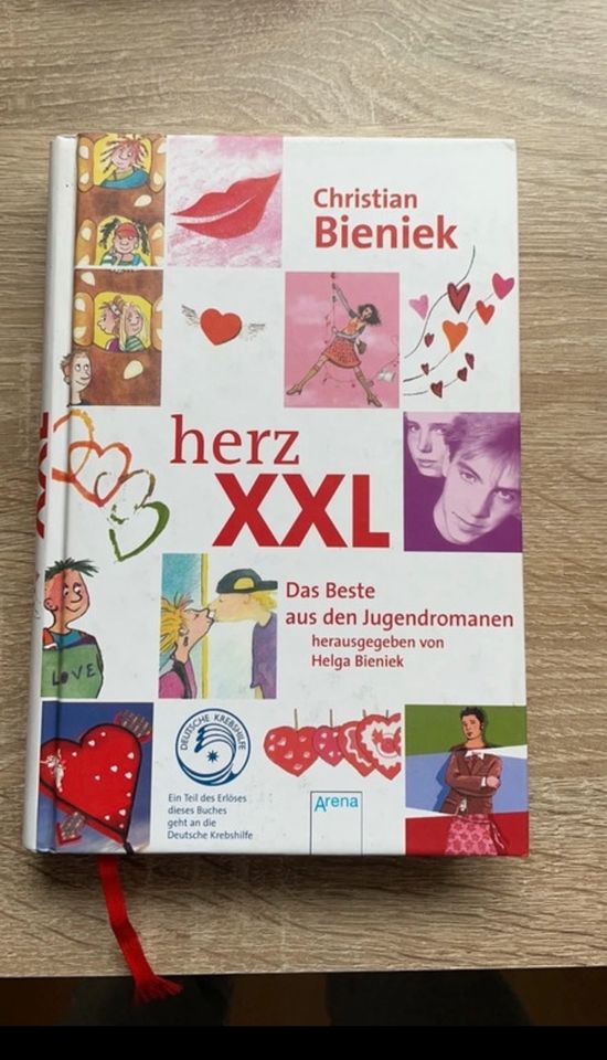 Herz XXL Buch-Jugendroman in Bad Windsheim