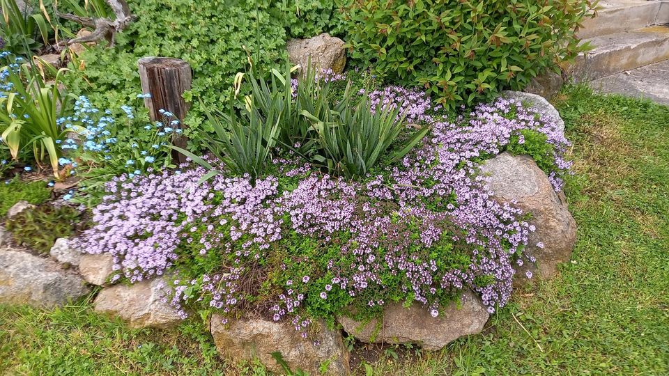 Wald-Honig, Blüten-Honig feincremig, Geschenk, Mitbringsel, Imker in Perlesreut