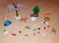 Playmobil Zauber Wald der Eisprinzessin / Prinzessin / Waldtiere Nordrhein-Westfalen - Wilnsdorf Vorschau