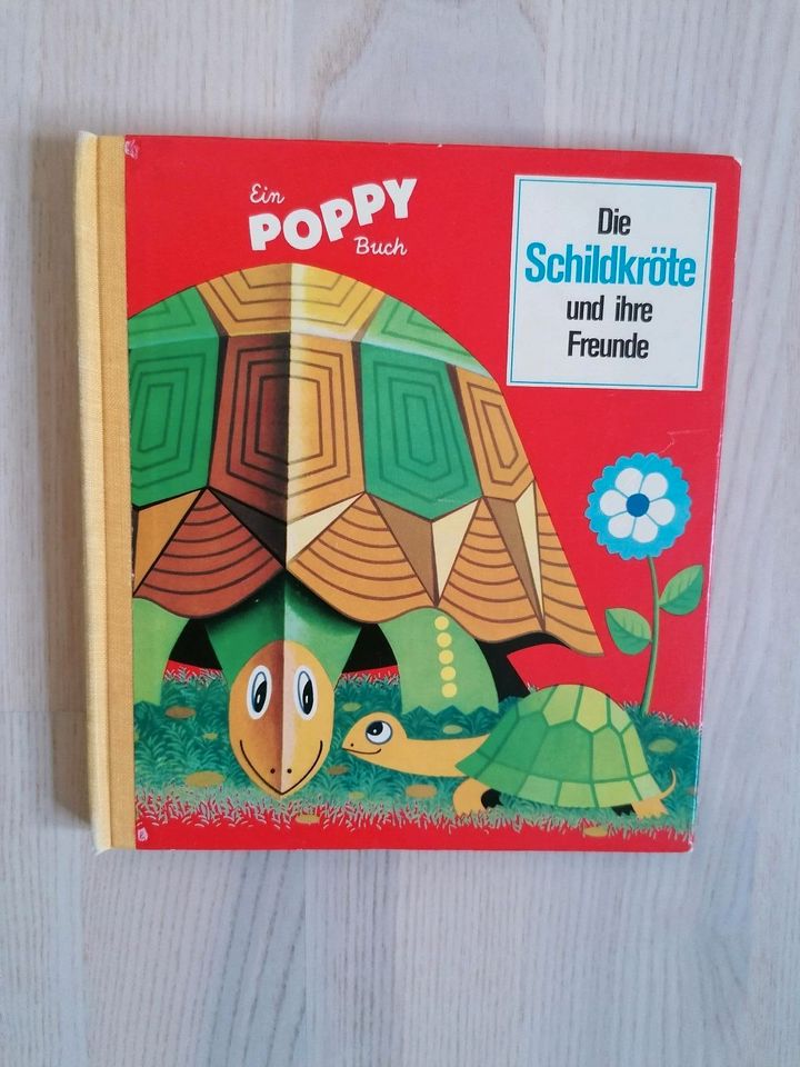 Ein Poppy Buch Klappbuch die Schildkröte und ihre Freunde in Ismaning