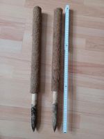 Kokosstäbe Pflanzsstäbe Rankhilfe 60cm Findorff - Findorff-Bürgerweide Vorschau