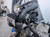 MOTOR CZE 1.4 TSI AUDI SEAT SKODA VW KOMPLETT 4 KM Bayern - Marktbreit Vorschau