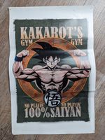 Dragonball Z Gym Poster (3 Stk.), Kakarot, Vegeta, Master Roshi Aachen - Aachen-Haaren Vorschau