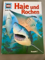 Was ist was - Haie und Rochen - Band 95 Baden-Württemberg - Eggenstein-Leopoldshafen Vorschau