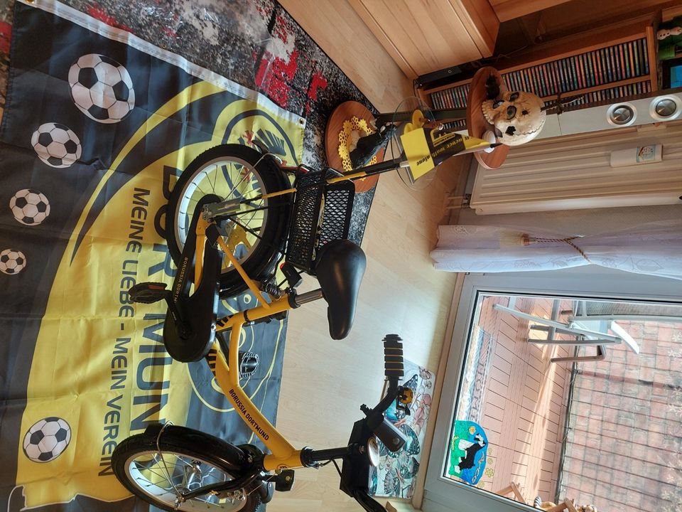 Borussia Dortmund Fahrrad kinder in Dessau-Roßlau