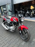 YAMAHA YBR 125 - TOPZUSTAND - 5500 KM Nordrhein-Westfalen - Dinslaken Vorschau