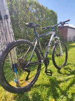 Bulls Mountainbike copperhead 3 Bayern - Kirchenlamitz Vorschau