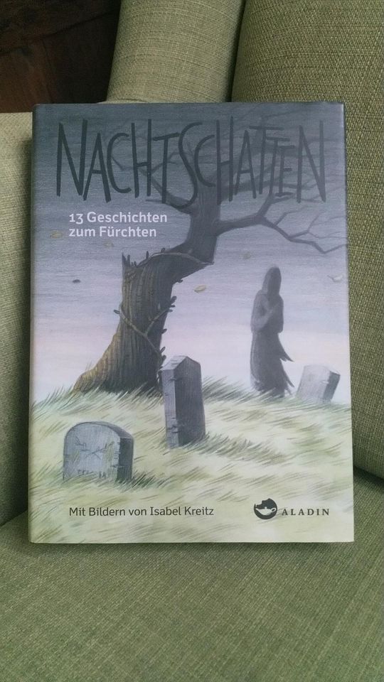 Buch "Nachtschatten" Isabel Kreitz in Radebeul