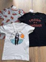 3 super coole T-Shirts in 110-116 Surfer Fuchs Dinosaurier Nordrhein-Westfalen - Hennef (Sieg) Vorschau