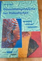 Gesundheitsprobleme bei Diskusfischen Nordrhein-Westfalen - Hürth Vorschau