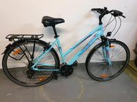 Pegasus Piazza 28 Zoll Damen Fahrrad Nordrhein-Westfalen - Hagen Vorschau