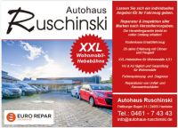 Citroen C6 Reparatur aller Hydraulik Fahrzeug C5,Xantia, BX XM Schleswig-Holstein - Harrislee Vorschau