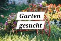 Suche vernünftigen Schreber/Pachtgarten in Neumünster Schleswig-Holstein - Neumünster Vorschau