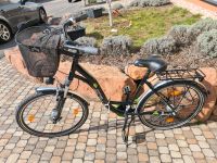 Fahrrad urban prophete 26 Zoll Rheinland-Pfalz - Lemberg Vorschau