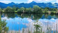Gepflegte WHG.  mit traumhaftem Blick ins Tiroler Kaisergebirge Bayern - Kiefersfelden Vorschau